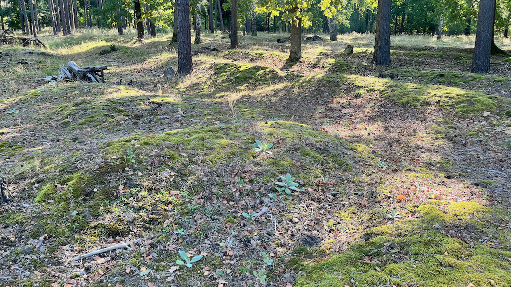 Opowiem ci historię, odcinek 141. Obóz jeniecki w Tucholi (FOTO)