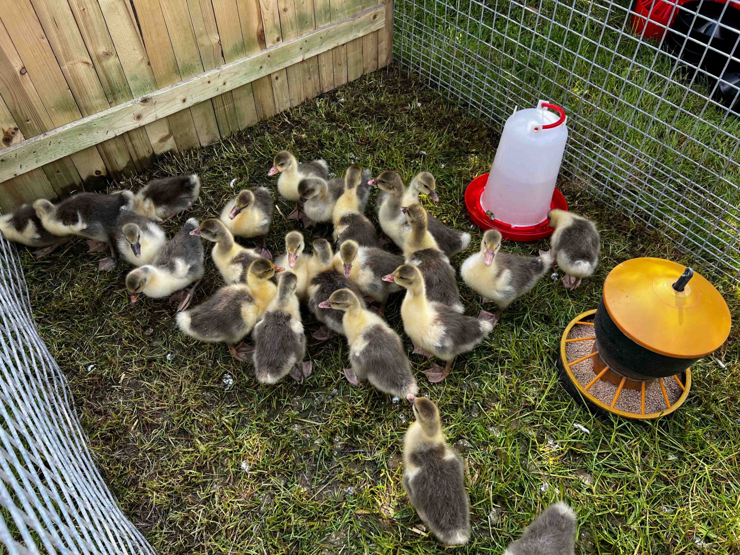 W Lubaniu, w gminie Nowa Karczma wystartowały Pomorskie Agro Targi. Posłuchaj relacji z mobilnego studia Weekend FM