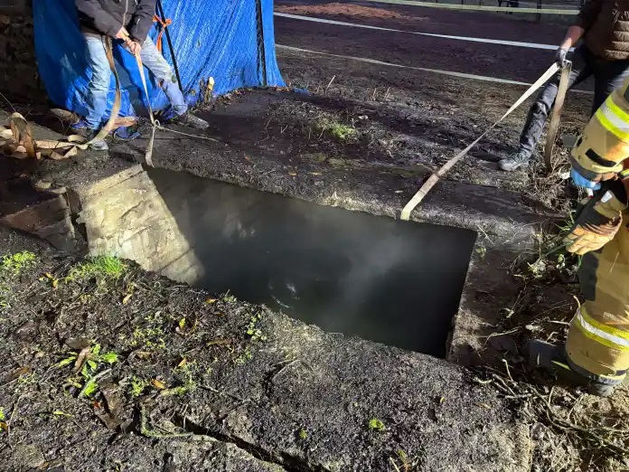 Strażacy uratowali konia, który wpadł do szamba w Zabartowie, w gminie Więcbork. Zwierzęciu nic się nie stało (FOTO)