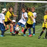 fot. Wojciech Piepiorka