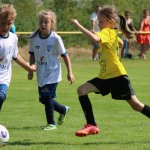 fot. Wojciech Piepiorka