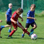 fot. Wojciech Piepiorka