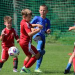 fot. Wojciech Piepiorka