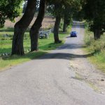 fot. Wojciech Piepiorka