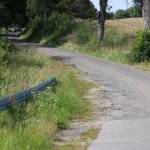 fot. Wojciech Piepiorka