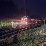 fot. Stanisław Kamiński