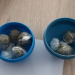 fot. KPP w Człuchowie