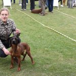 fot. Stanisław Kamiński