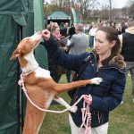 fot. Stanisław Kamiński