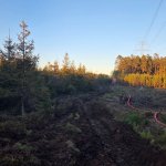 fot. KW PSP w Gdańsku