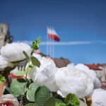 fot. Maciej Bór