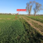 fot. nadesłane